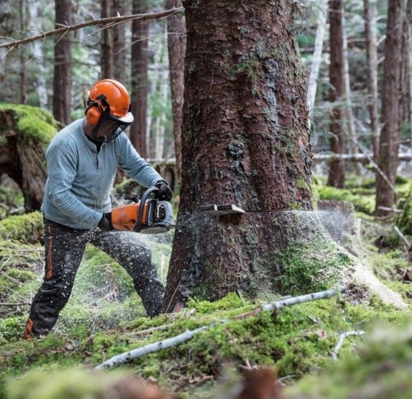 Бензопила STIHL MS 462, 45см (11422000001) Бензопила STIHL MS 462, 45см (11422000001)