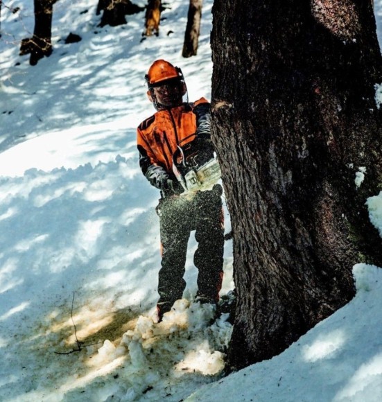 Бензопила STIHL MS 462, 45см (11422000001) Бензопила STIHL MS 462, 45см (11422000001)