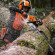 Бензопила STIHL MS 462 C-M, 45см (11422000022)