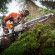 Бензопила STIHL MS 462 C-M, 45см (11422000022)