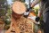 Аккумуляторная пила STIHL MSA 80.0 C-B, 35 см, каркас (MA040115844) Аккумуляторная пила STIHL MSA 80.0 C-B, 35 см, каркас (MA040115844)