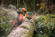 Бензопила STIHL MS 500i, 50см, Ingection (11472000000)