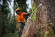Бензопила STIHL MS 500i, 50см, Ingection (11472000000)