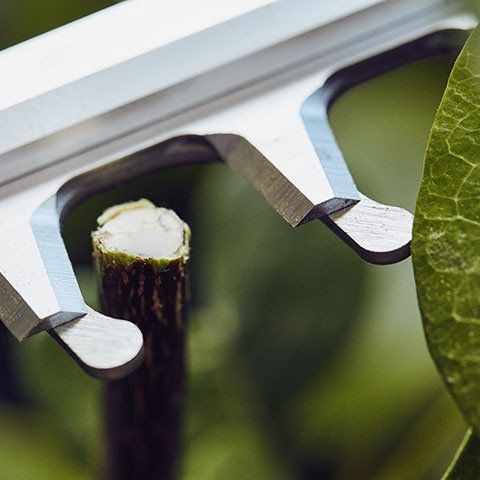 Кусторез аккумуляторный STIHL HSA 86 (48510113526)