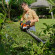 Аккумуляторные ножницы STIHL HSA 60.1, каркас, нож 60см (HA060113534)