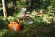 Комбиканистра STIHL 5+3л б/клапана-дозатора Profi (00008810113)