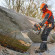 Бензопила STIHL MS 661 C-M, 63см (11442000321)