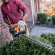 Садовые мотоножницы STIHL HS 45, нож 60см (42280112938)