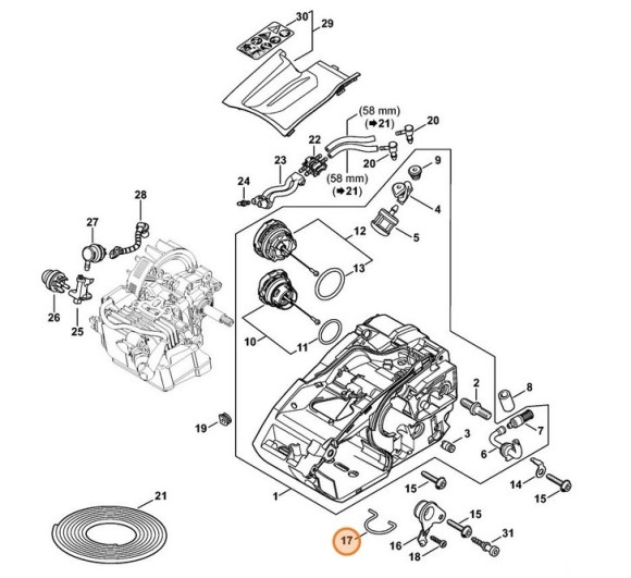 Ухо (11463525000)