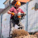 Мотобур STIHL BT 131 (43130112120)