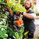 Садовые мотоножницы STIHL HS 82Т, нож 60см (42370112985)